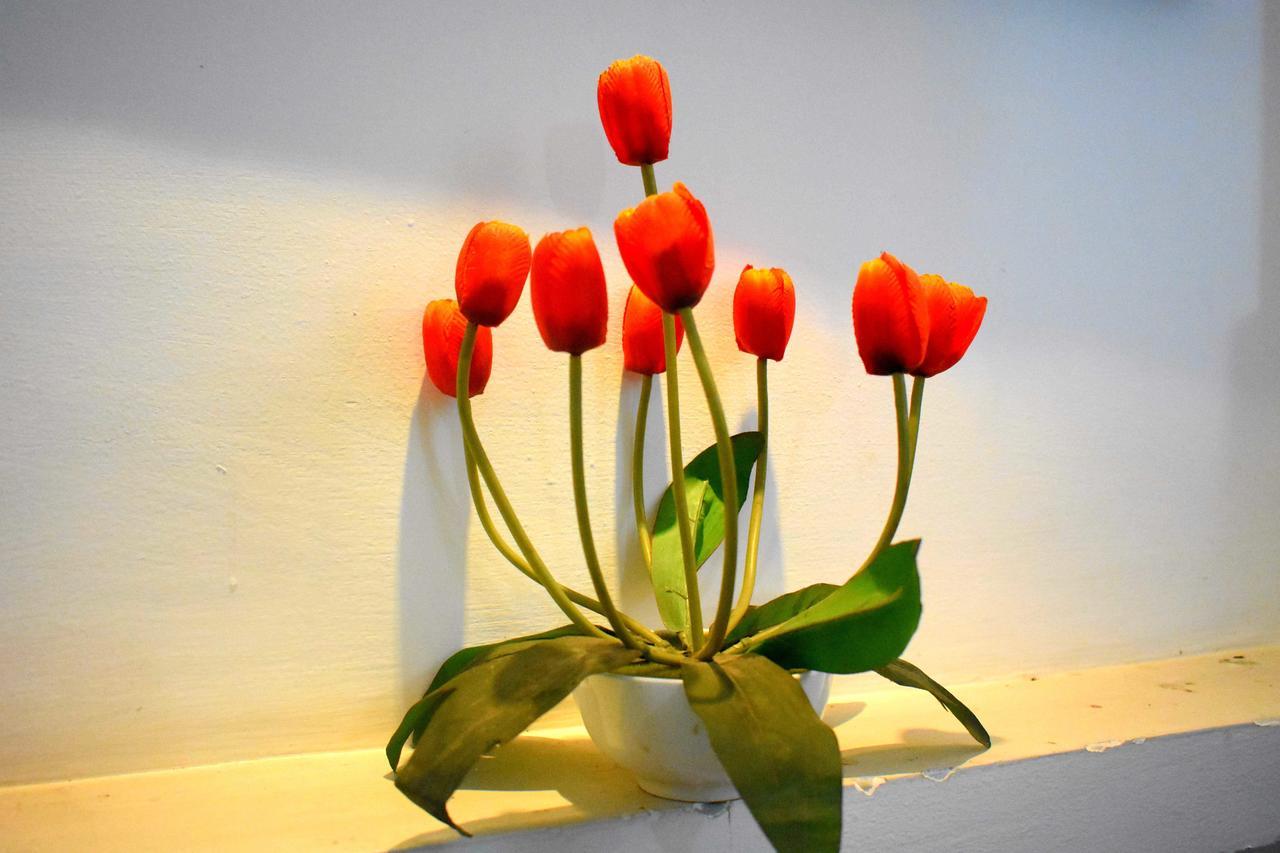 אנוראדפורה Villa Tulip Garden מראה חיצוני תמונה